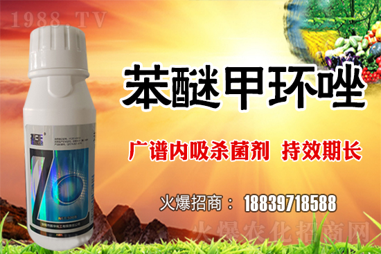 倒春寒風(fēng)險(xiǎn)加大,如何做好冬小麥防護(hù)工作?