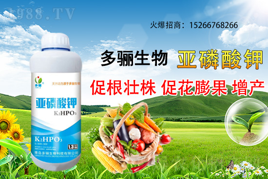 3月份適合種植什么藥材?哪些藥材種植前景好又賺錢