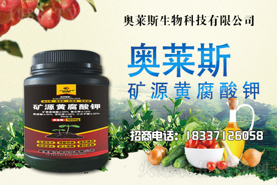 靈芝生產(chǎn)季節(jié)是什么時候？靈芝熟料段木仿生栽培技術(shù)！