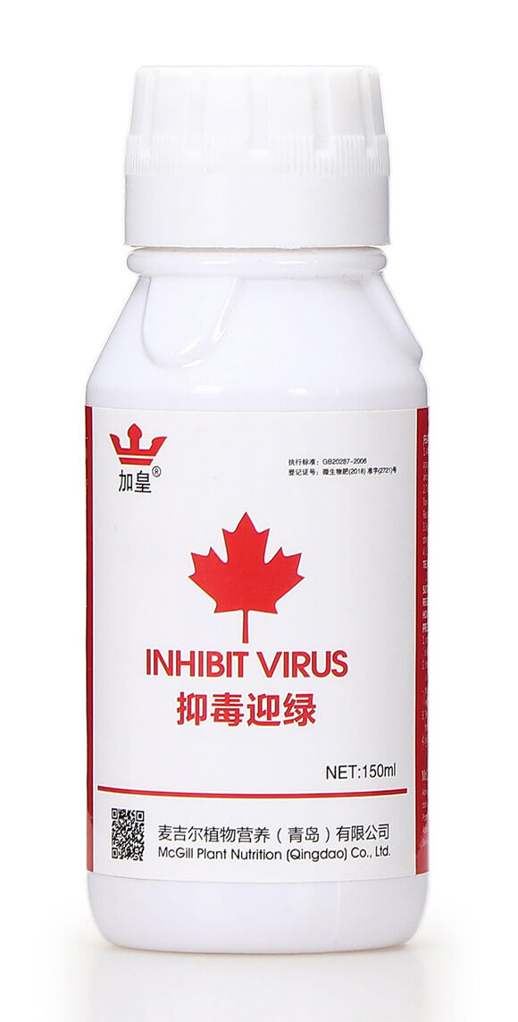 抑毒迎綠（專治病毒?。?綠肥5