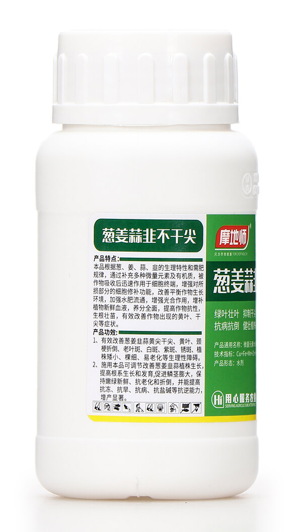 蔥姜蒜韭不干尖 摩地師6