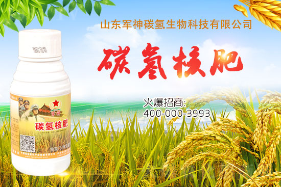 碳?xì)浜朔适鞘裁捶?？為什么效果這么好？