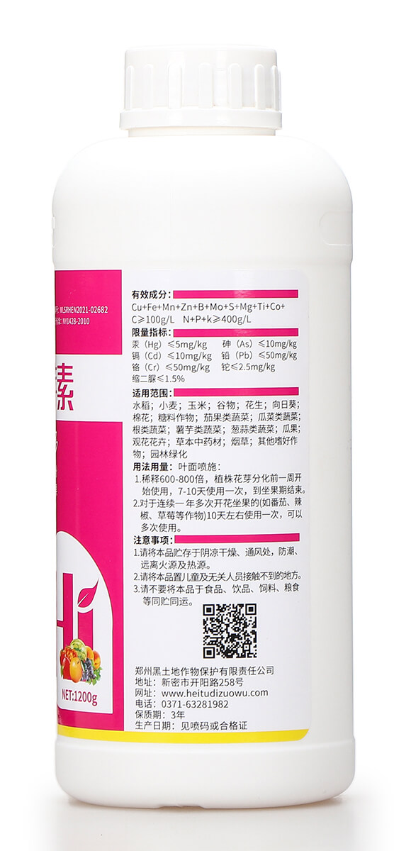 朵美花芽素 摩地師7