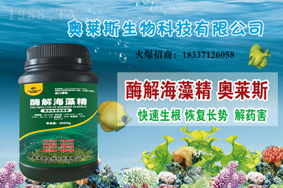 大豆價(jià)格還會(huì)上漲嗎？今日大豆價(jià)格行情