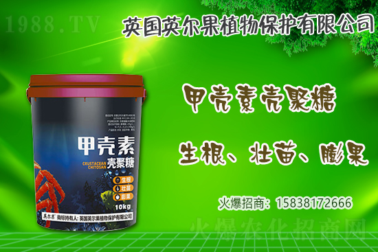2021年4月26日小麥價(jià)格行情一覽