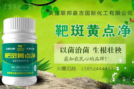 2021年西北一作區(qū)馬鈴薯生產(chǎn)技術(shù)意見(jiàn)