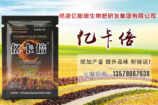 菠蘿蜜產(chǎn)地在我國哪些省份？菠蘿蜜有哪些常見品種？