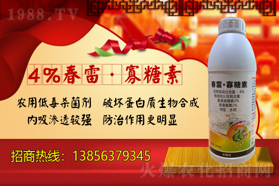 ���r(n��ng)���W(w��ng)ϲӭ���������y�������r(n��ng)�I(y��)����ؔ��֮·��