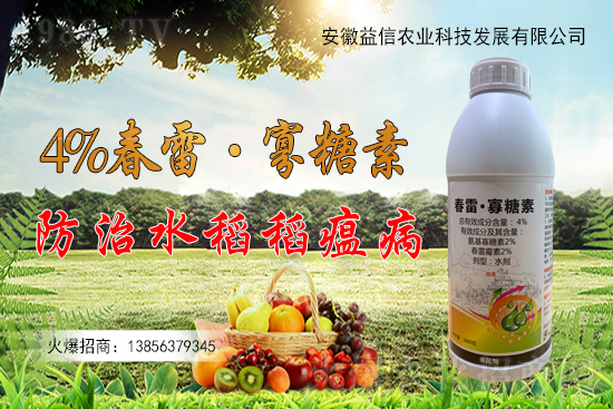 ���r(n��ng)���W(w��ng)ϲӭ�����ѣ��y�������r(n��ng)�I(y��)����ؔ��֮·��