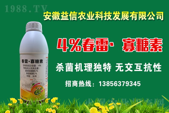 ���r(n��ng)���W(w��ng)ϲӭ���������y�������r(n��ng)�I(y��)����ؔ��֮·��