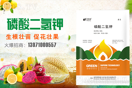 ��(zh��n)�Ժ�������������˹���ʘI(y��)�y��1988.TV�ل�(chu��ng)�x����