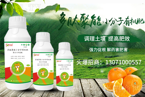 ��(zh��n)�Ժ�������������˹���ʘI(y��)�y��1988.TV�ل�(chu��ng)�x�ͣ�