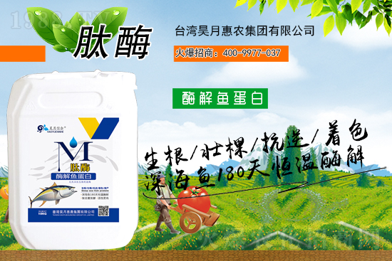 �y�ֹ��M(j��n)���T�����x�ͣ���»��r(n��ng)���s�r(n��ng)���W(w��ng)���A2021��