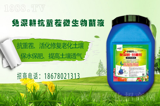 �����Pϵ�����A���ﲩʿ���F�m(x��)�s1988.TV�����\�����°l(f��)չ��