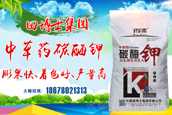 �����Pϵ�����A���ﲩʿ���F�m(x��)�s1988.TV�����\�����°l(f��)չ��