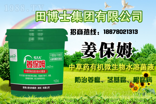 �����Pϵ�����A���ﲩʿ���F�m(x��)�s1988.TV�����\�����°l(f��)չ��