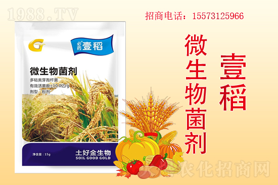 �����P(gu��n)ϵ�����A�����ý������ٺ�1988.TV������(chu��ng)���x����