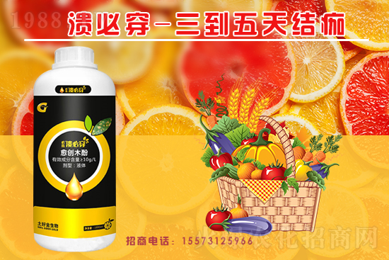 �����P(gu��n)ϵ�����A�����ý������ٺ�1988.TV������(chu��ng)���x�ͣ�