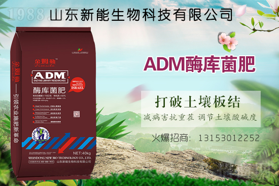 ����ף�R���������ٺ�1988.TV���_���W(w��ng)�j(lu��)������ģʽ��