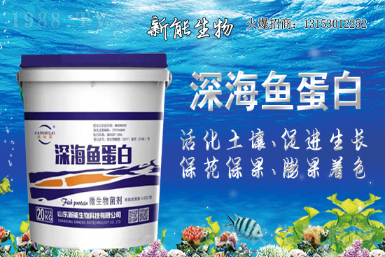 ����ף�R���������ٺ�1988.TV���_���W(w��ng)�j(lu��)������ģʽ��