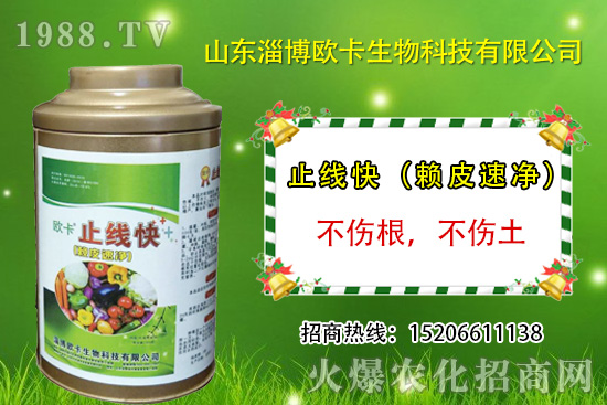 歐卡生物再簽1988.TV，力求實現(xiàn)企業(yè)騰飛夢！