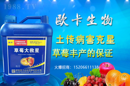 歐卡生物再簽1988.TV，力求實現(xiàn)企業(yè)騰飛夢！