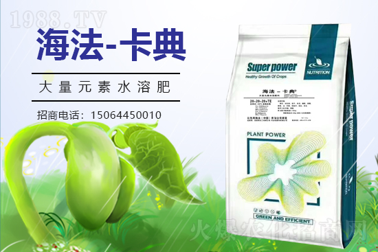 農(nóng)化網(wǎng)喜迎新盟友,攜手諾普斯共走財富之路!