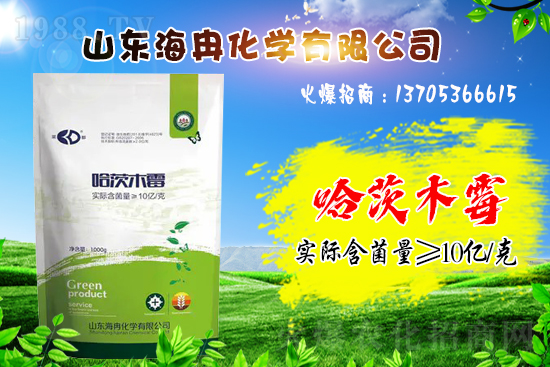 ��Ƚ���W(xu��)