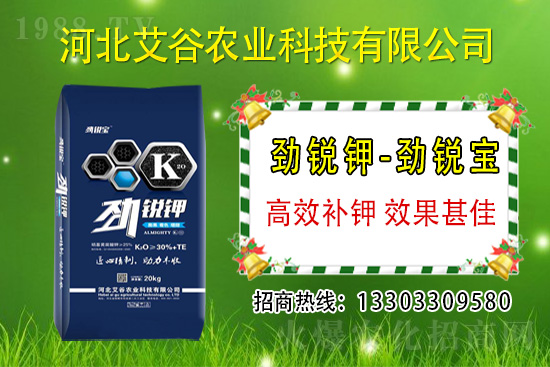 2021年6月1日國(guó)內(nèi)鉀肥價(jià)格走勢(shì)分析