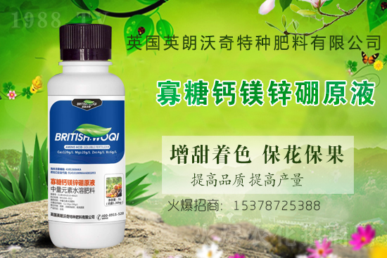 英朗沃奇成功簽約1988.TV，攜手共創(chuàng)新戰(zhàn)績(jī)！