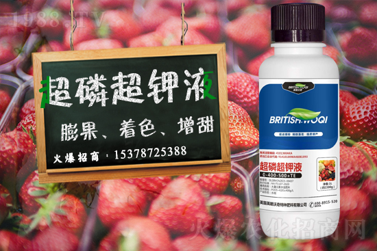 英朗沃奇成功簽約1988.TV，攜手共創(chuàng)新戰(zhàn)績(jī)！