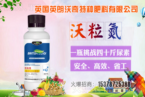 英朗沃奇成功簽約1988.TV，攜手共創(chuàng)新戰(zhàn)績(jī)！