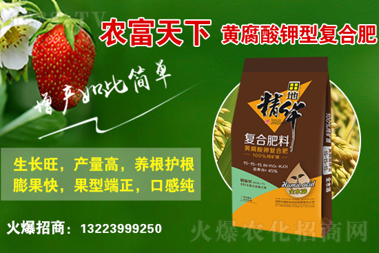 復(fù)合肥市場(chǎng)行情分析，2021年6月10日化肥行情走勢(shì)：