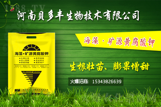 果樹黃化的原因是缺鐵嗎？果樹黃化噴施硫酸亞鐵怎么樣？