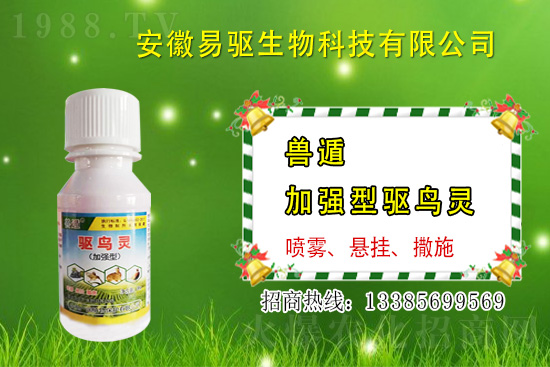大雨或大水漫灌過后，玉米粉籽、爛種、爛苗怎么辦？