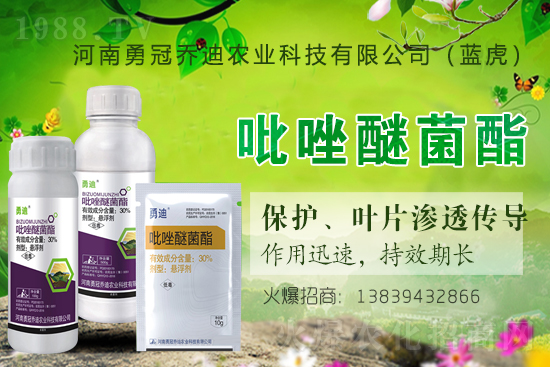 合作升級,勇冠喬迪(藍(lán)虎)再簽1988.TV,共創(chuàng)新輝煌!