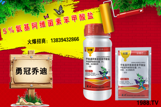 合作升級,勇冠喬迪(藍(lán)虎)再簽1988.TV,共創(chuàng)新輝煌!