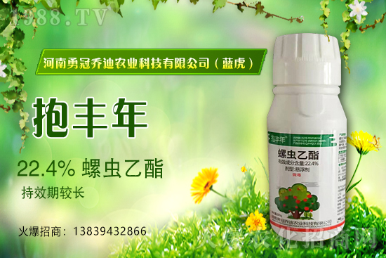 合作升級,勇冠喬迪(藍(lán)虎)再簽1988.TV,共創(chuàng)新輝煌!