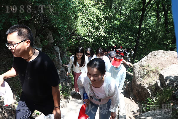 ����o�H�����c����