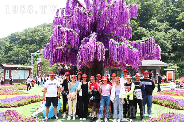 �����𱬾W(w��ng)���Ͼ�ɽ���������飬���Ї��W(xu��)��(j��ng)��