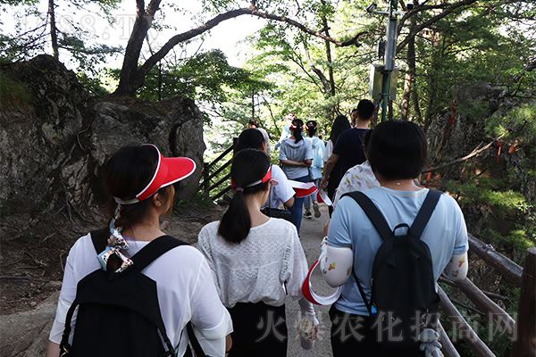 �ʵǸ߷�����ֹ������