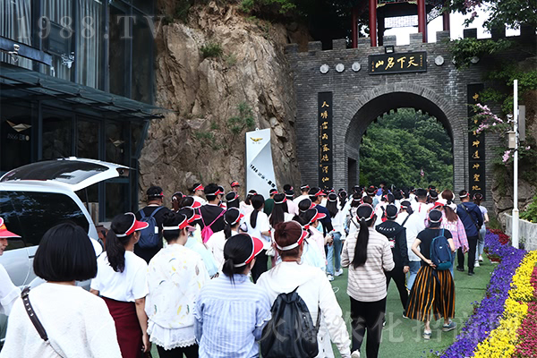 �Գ�������ܵ��