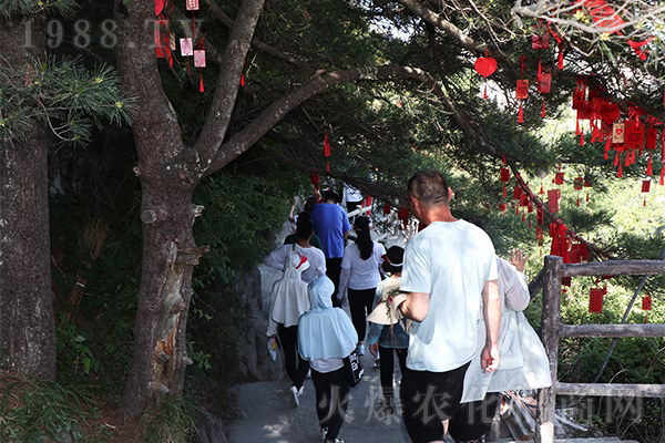 �]�е����˵�ɽ�