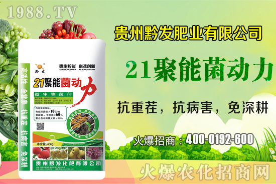 黔發(fā)肥業(yè)再度攜手1988.TV，攜手打造招商奇跡！