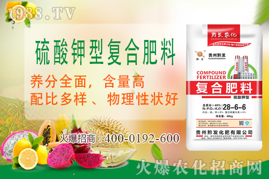 黔發(fā)肥業(yè)再度攜手1988.TV，攜手打造招商奇跡！