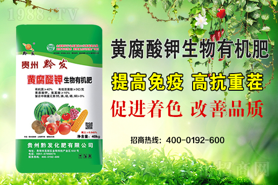 黔發(fā)肥業(yè)再度攜手1988.TV，攜手打造招商奇跡！