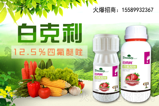 德國(guó)東利續(xù)約1988.TV！戰(zhàn)略合作關(guān)系再上新臺(tái)階！