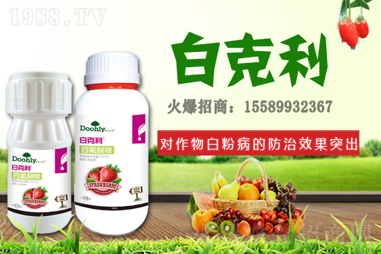 德國(guó)東利續(xù)約1988.TV！戰(zhàn)略合作關(guān)系再上新臺(tái)階！