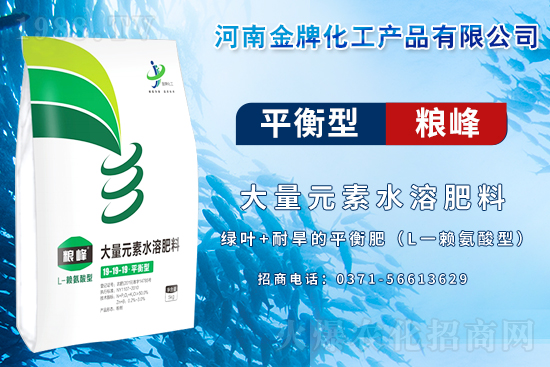 �y��ͬ�������\�l(f��)չ����ϲ���ƻ����ٺ�1988.TV��