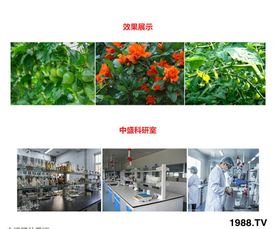 ƽ�����L�ͺ���ֲ��ˮ�ܷ� ��ؾ��A �r(n��ng)������4